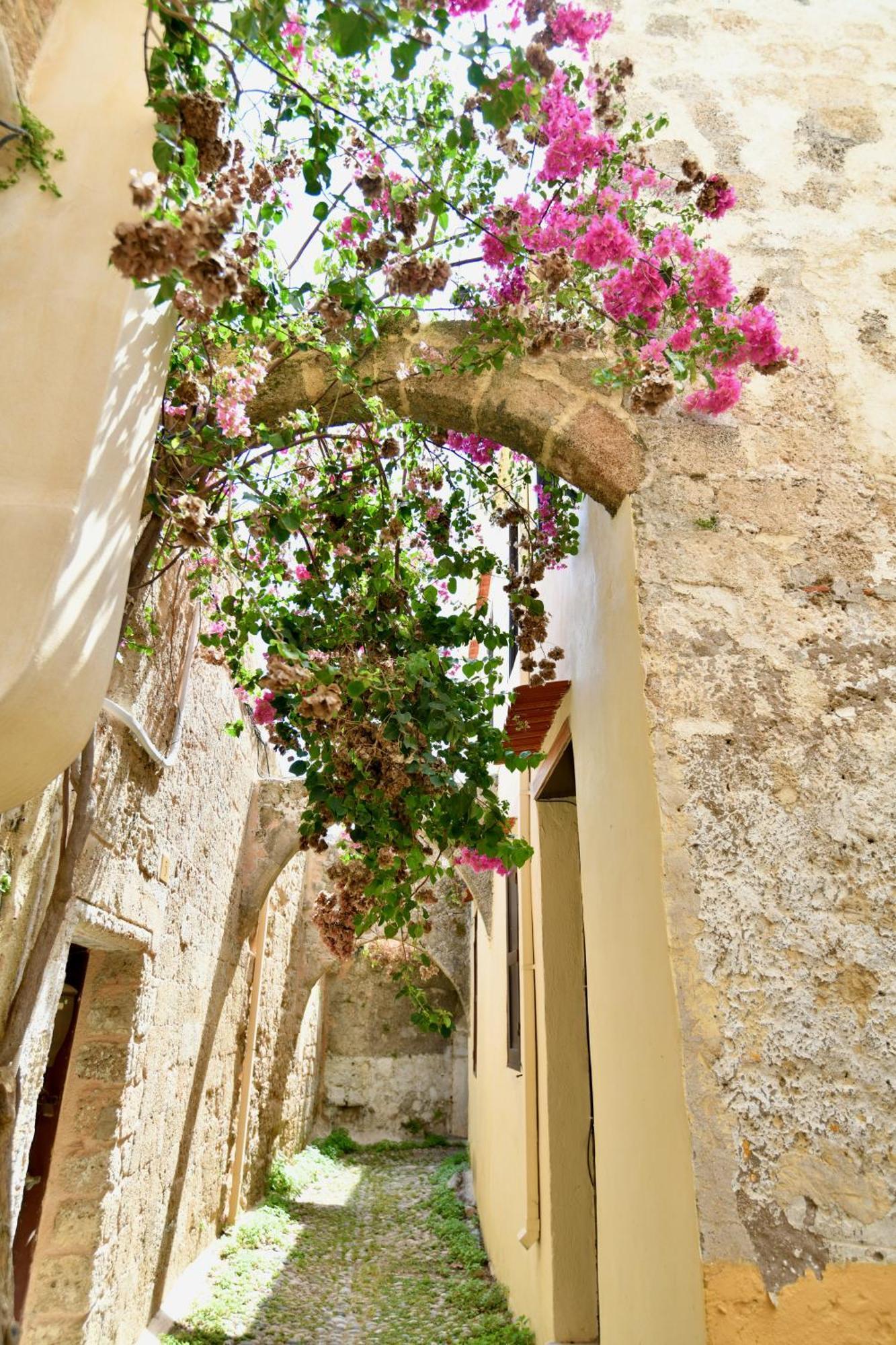 Penelope Garden House Old Town Lejlighed Rhodes City Eksteriør billede