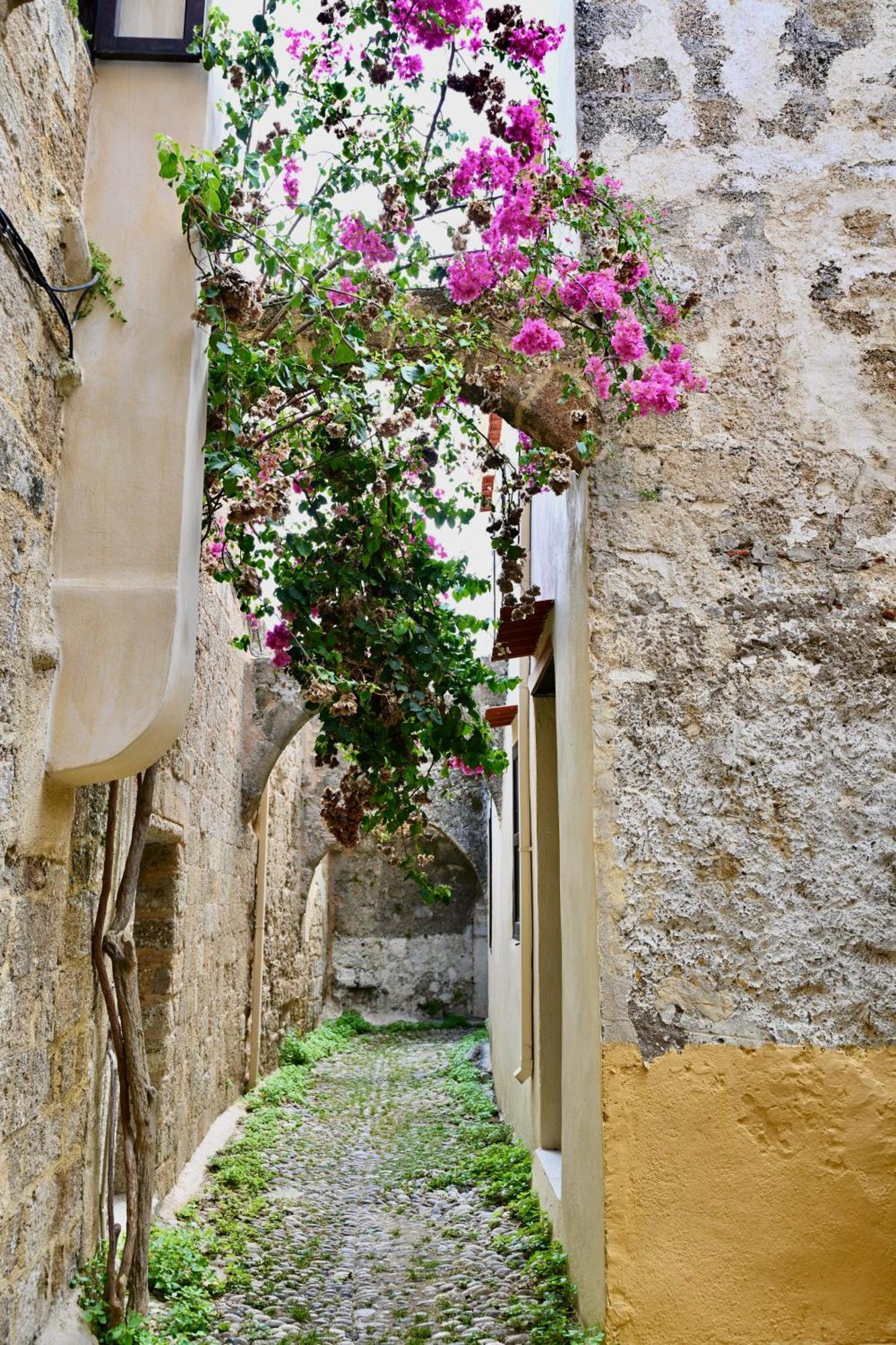 Penelope Garden House Old Town Lejlighed Rhodes City Eksteriør billede